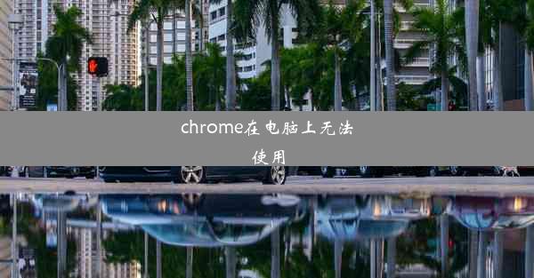 chrome在电脑上无法使用