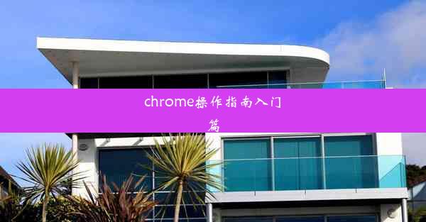 chrome操作指南入门篇