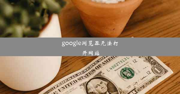 google浏览器无法打开网站