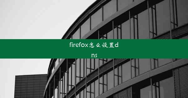 firefox怎么设置dns