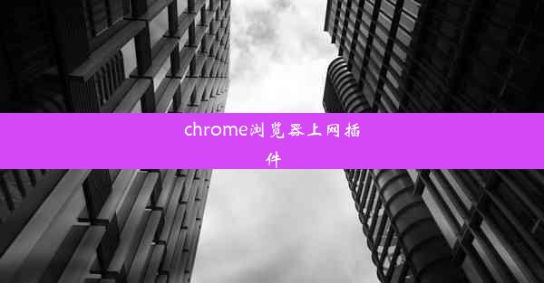 chrome浏览器上网插件