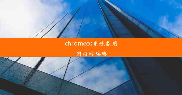 chromeos系统能用国内网络嘛