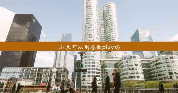 小米可以用谷歌play吗