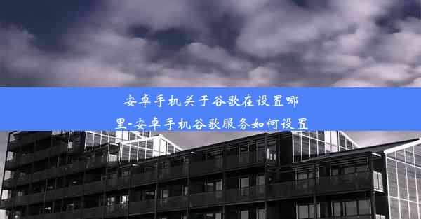 安卓手机关于谷歌在设置哪里-安卓手机谷歌服务如何设置