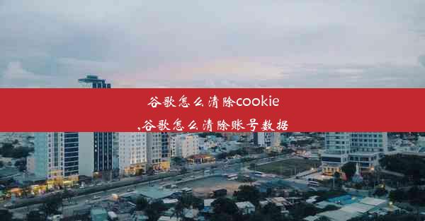 谷歌怎么清除cookie,谷歌怎么清除账号数据