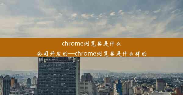 chrome浏览器是什么公司开发的—chrome浏览器是什么样的