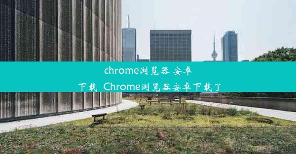 chrome浏览器 安卓下载_Chrome浏览器安卓下载了