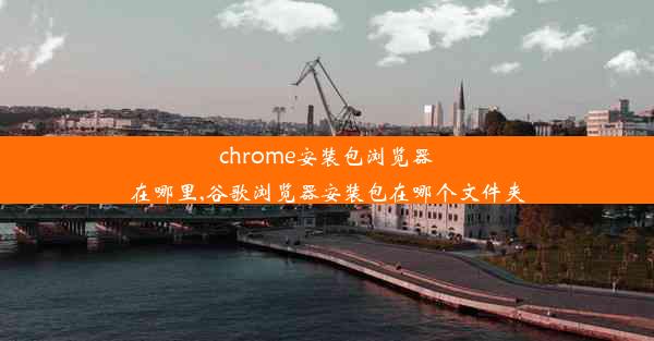 chrome安装包浏览器在哪里,谷歌浏览器安装包在哪个文件夹