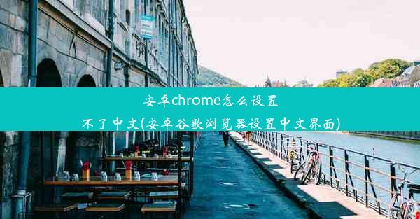 安卓chrome怎么设置不了中文(安卓谷歌浏览器设置中文界面)